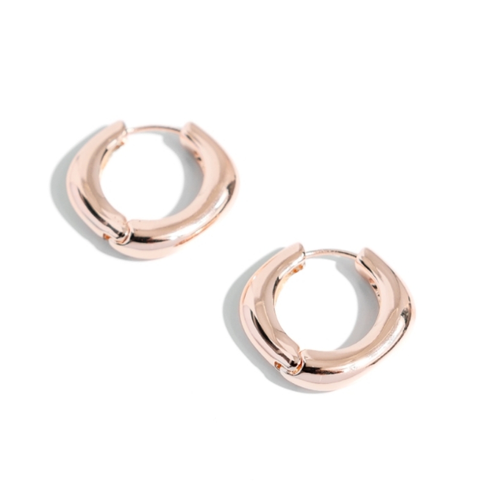 Monochromatic Makeover Gold Earrings Hinge 1"